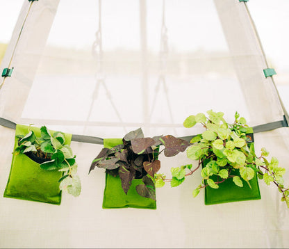 Bijou Bloom Hanging Planters