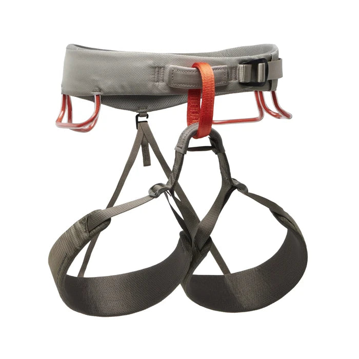 M Momentum Harness