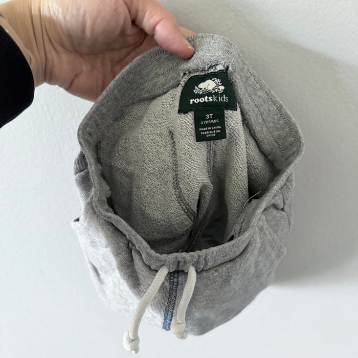 Roots / Light grey shorts / 3T